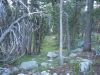 DSCN2286.JPG