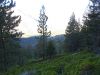 DSCN2292.JPG