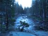 DSCN2314.JPG