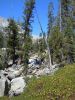 Filename=DSCN2363.JPG
Filesize=987KiB
Dimensions=1620x2160
Date added=Aug 30, 2014 DSCN2363.JPG