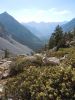 Filename=DSCN2370.JPG
Filesize=726KiB
Dimensions=1620x2160
Date added=Aug 30, 2014 DSCN2370.JPG