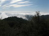 IMG_2986.JPG